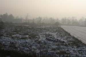 crop, dusk, eye level view, field, Krakow, Malopolskie, Poland, vegetation, winter