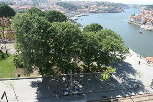 broad-leaf tree, broad-leaved tree, day, elevated, park, Porto, Porto, Portugal, river, shady, spring, street, sunny