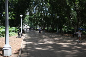 Australia, day, eye level view, lamppost, New South Wales, park, path, summer, Sydney, tree, vegetation