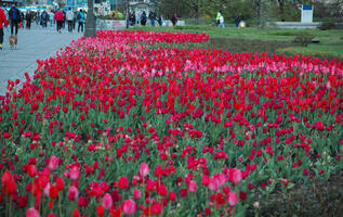 Mazowieckie, Poland, Warsaw