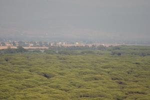 afternoon, day, direct sunlight, elevated, Grosseto, Italia , natural light, summer, Toscana, valley, vegetation