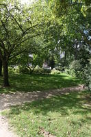 Belgium, Brussels, day, eye level view, grass, natural light, park, summer, tree, vegetation