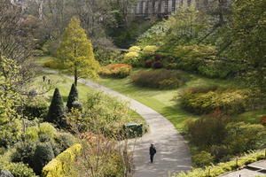 afternoon, bush, day, Edinburgh, elevated, natural light, park, Scotland, spring, The United Kingdom, tree, vegetation