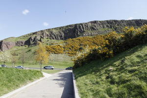 afternoon, bush, day, Edinburgh, eye level view, grass, hill, natural light, path, Scotland, spring, The United Kingdom