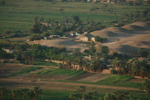 aerial view, dusk, East Timor, Egypt, Egypt, palm, tree, vegetation