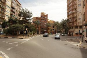 Alicante, building, car, day, eye level view, natural light, palm, residential, Spain, street, sunny, tree, Valenciana, vegetation