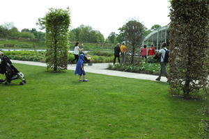 day, England, eye level view, family, garden, grass, group, natural light, park, people, The United Kingdom, Woking