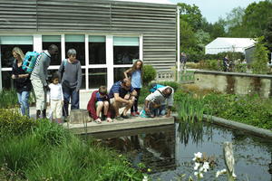 day, England, eye level view, family, garden, group, natural light, park, people, plant, pond, The United Kingdom, Woking