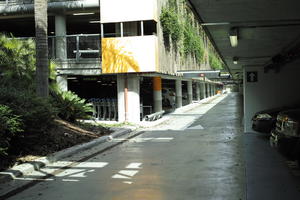 airport, autumn, day, eye level view, floor, France, hanging, Nice, parking, plant, Provence Alpes Cote D