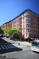 3-point perspective, building, crossing, day, elevated, facade, Manhattan, New York, street, sunny, The United States, tree, vegetation