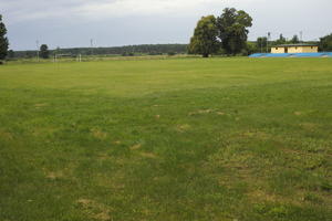 day, diffuse, diffused light, eye level view, grass, grassland, natural light, Poland, summer, Wielkopolskie