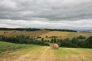 crop, day, eye level view, field, France, grass, hay, haystack, natural light, overcast, plant, summer, valley