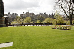 afternoon, day, Edinburgh, eye level view, flower, garden, grass, natural light, park, Scotland, spring, The United Kingdom