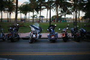 dusk, eye level view, Florida, Miami, motorcycle, palm, park, pavement, street, The United States, transport, tree, vegetation, winter