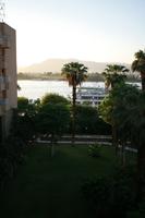 dusk, East Timor, Egypt, Egypt, elevated, natural light, palm, tree, vegetation