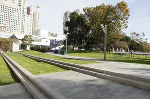 autumn, broad-leaf tree, broad-leaved tree, California, day, eye level view, grass, park, pavement, San Francisco, steps, sunny, The United States