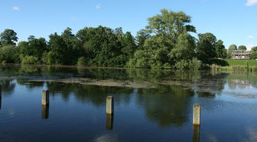 bollard, broad-leaf tree, broad-leaved tree, day, England, eye level view, lake, London, park, summer, sunny, The United Kingdom, treeline