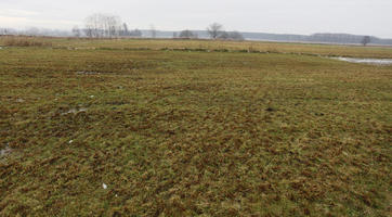 day, diffuse, diffused light, eye level view, field, Kopanica, Poland, Wielkopolskie, winter