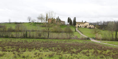 Arezzo, day, eye level view, field, Italia , natural light, spring, Toscana