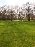 day, deciduous, England, eye level view, grass, London, park, spring, sunny, The United Kingdom, tree