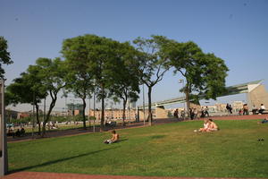 Barcelona, Cataluña, couple, day, eye level view, grass, people, Spain, summer, sunbathing, sunny, tree