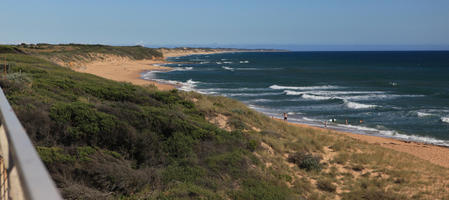 Australia, beach, bush, day, elevated, seascape, shrub, summer