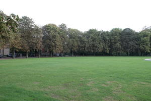 afternoon, Braunschweig, day, Deutschland, eye level view, grass, natural light, Niedersachsen, park, summer, tree, vegetation