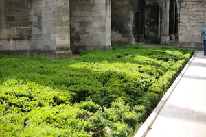 bush, Champagne-Ardenne, city, day, eye level view, France, garden, summer, sunny, Troyes