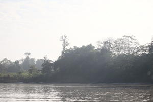 Brunei, day, diffuse, diffused light, eye level view, forest, natural light, river, summer, tropical