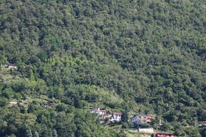 bright, Como, day, direct sunlight, eye level view, Italia , Lombardia, mountain, summer, sunny, woodland