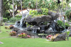 bush, day, diffuse, diffused light, eye level view, Hawaii, natural light, pond, shrub, summer, The United States, tropical, water lily, waterfall