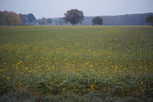 Poland, Wielkopolskie