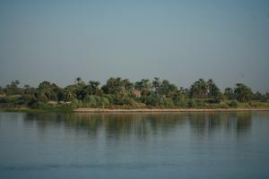 day, dusk, East Timor, Egypt, Egypt, eye level view, grass, palm, river, river Nile, tree, vegetation