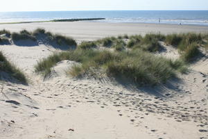 beach, Belgium, day, dunes, eye level view, grass, summer, sunny