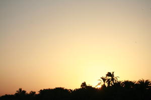 clear, dusk, East Timor, Egypt, Egypt, eye level view, silhouette, sky, vegetation