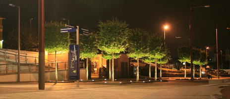 artificial lighting, autumn, broad-leaf tree, broad-leaved tree, England, eye level view, Gloucester, night, outdoor lighting, pavement, square, The United Kingdom, tree, young