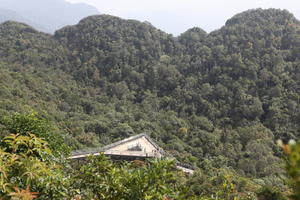 bridge, day, elevated, forest, Kedah, Malaysia, mountain, sunny, vegetation