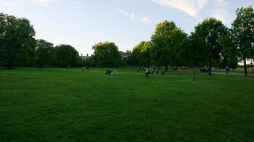 afternoon, broad-leaf tree, broad-leaved tree, day, England, eye level view, grass, London, park, shady, summer, sunny, The United Kingdom, treeline