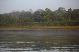 afternoon, Brunei, day, eye level view, forest, natural light, river, summer, tropical