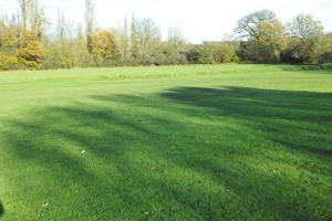 autumn, day, England, eye level view, grass, London, park, sunny, The United Kingdom, treeline