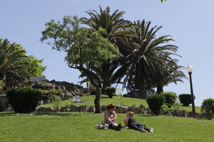 couple, day, evergreen, eye level view, female, grass, laying, palm, park, Phoenix canariensis, Porto, Porto, Portugal, sitting, spring, sunny, woman