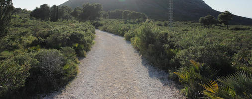 bright, bush, day, Denia, eye level view, path, shrub, shrubland, Spain, spring, sunny, Valenciana