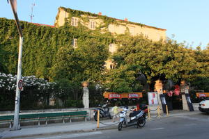 bench, bush, Croatia, day, dusk, eye level view, flower, house, ivy, Makarska, object, scooter, Splitsko-Dalmatinska, vegetation