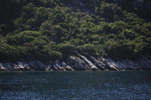 coastline, Croatia, day, eye level view, seascape, summer, tree, vegetation, woodland