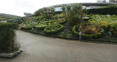 autumn, bush, day, diffuse, diffused light, Eden Project, England, eye level view, garden, palm, path, shrub, The United Kingdom