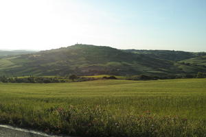 afternoon, day, eye level view, field, grass, Italia , Siena, spring, sunny, Toscana, valley