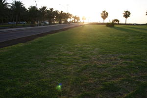 Canarias, contre-jour, eye level view, grass, Las Palmas, Spain, spring, street, sunlight, sunset