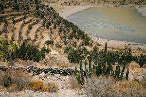 Arequipa, Arequipa, autumn, cactus, day, elevated, lake, mountain, natural light, Peru, sunny, valley, Valley of Volcanoes, vegetation