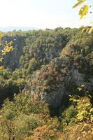 Croatia, day, elevated, forest, Karlovacka, mountain, sunny, tree, vegetation