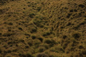 above, day, grass, summer, sunlight, sunny, sunshine